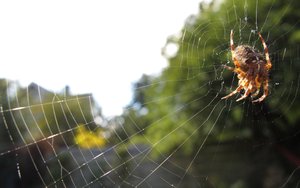 事件驱动架构的投资回报率分析